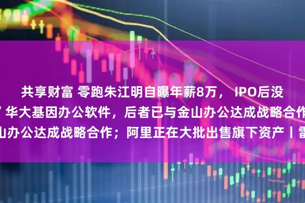 共享财富 零跑朱江明自曝年薪8万， IPO后没领过工资；曝微软“断供”华大基因办公软件，后者已与金山办公达成战略合作；阿里正在大批出售旗下资产丨雷峰早报