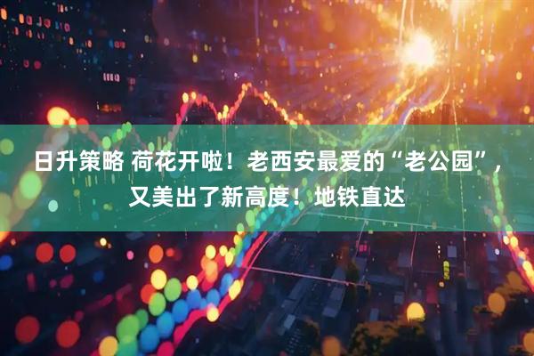 日升策略 荷花开啦！老西安最爱的“老公园”，又美出了新高度！地铁直达