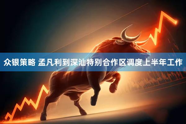 众银策略 孟凡利到深汕特别合作区调度上半年工作