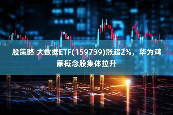 股策略 大数据ETF(159739)涨超2%，华为鸿蒙概念股集体拉升