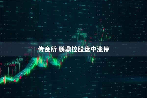 传金所 鹏鼎控股盘中涨停