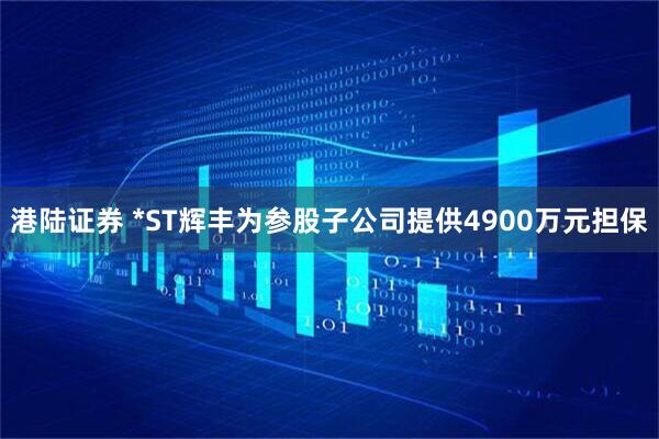 港陆证券 *ST辉丰为参股子公司提供4900万元担保