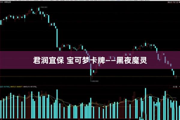 君润宜保 宝可梦卡牌——黑夜魔灵