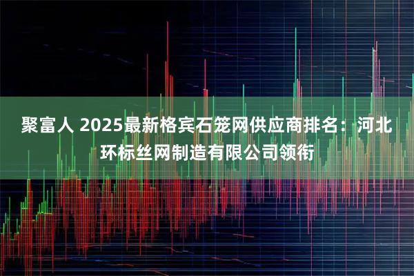 聚富人 2025最新格宾石笼网供应商排名:河北环标丝网制造有限公司领衔