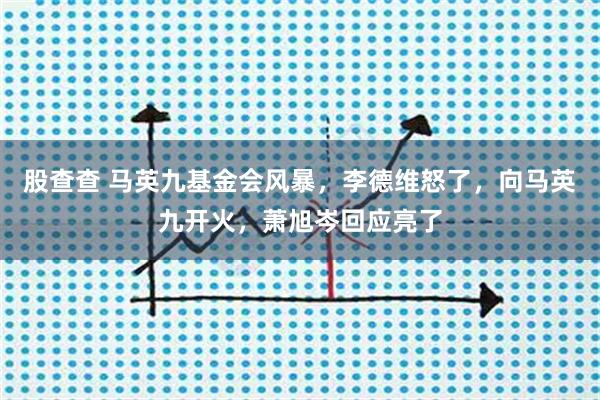 股查查 马英九基金会风暴，李德维怒了，向马英九开火，萧旭岑回应亮了